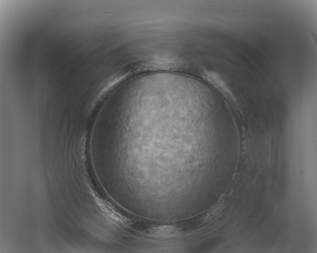 X0000060570058200511071030