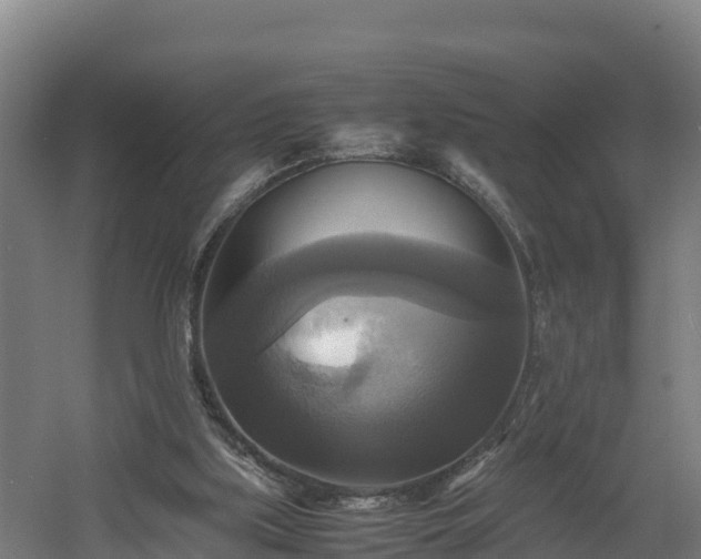 X0000060570059200511071030