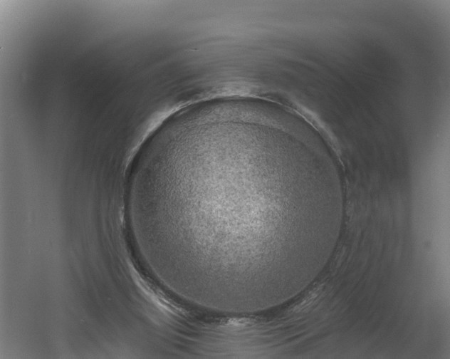 X0000060570060200511071030