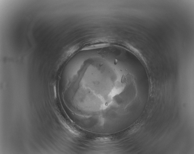 X0000060570061200511071030