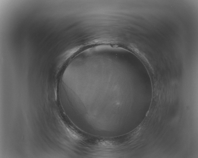 X0000060570062200511071030