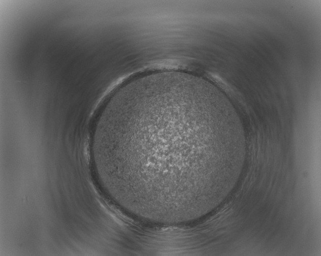 X0000060570064200511071030