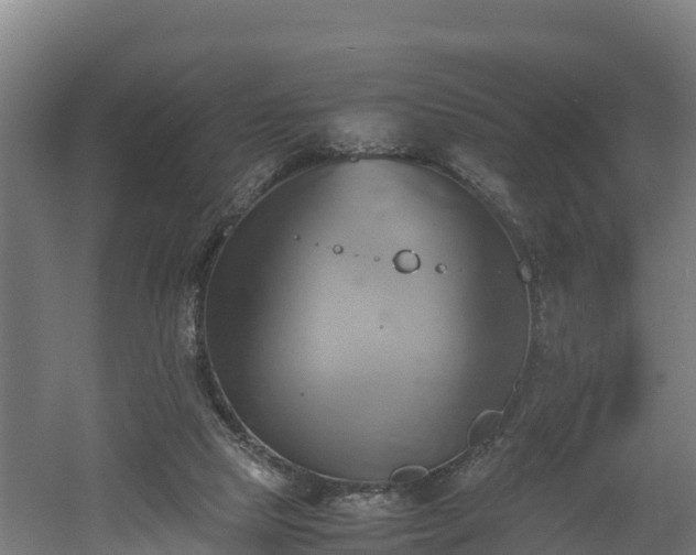 X0000060570065200511071030