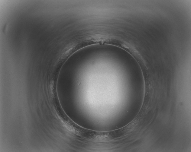 X0000060570066200511071030