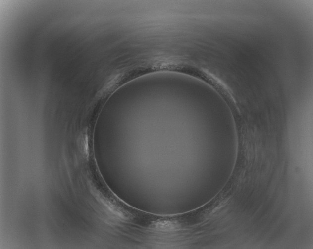 X0000060570067200511071030