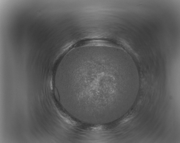 X0000060570068200511071030