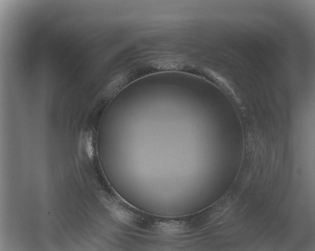 X0000060570069200511071030