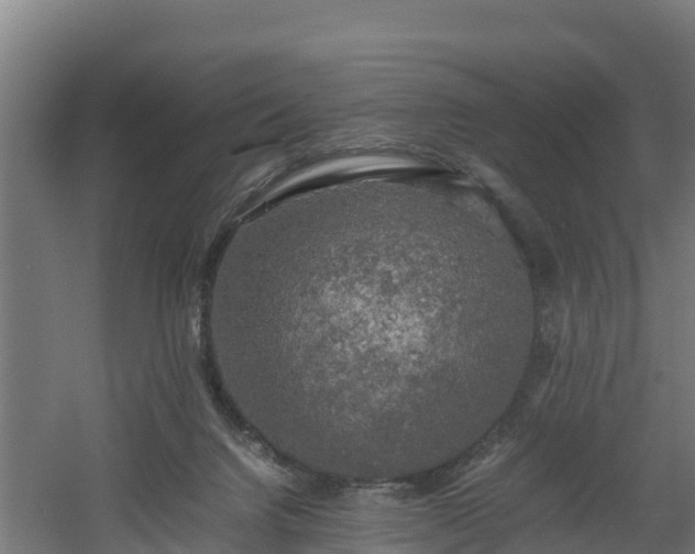 X0000060570072200511071030