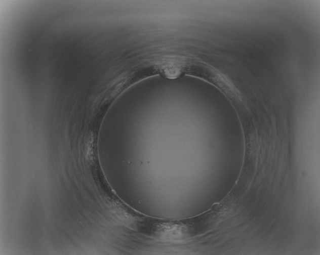 X0000060570073200511071030