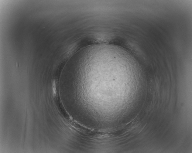 X0000060570075200511071030