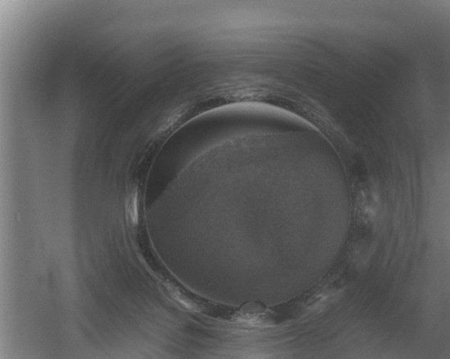 X0000060570076200511071030