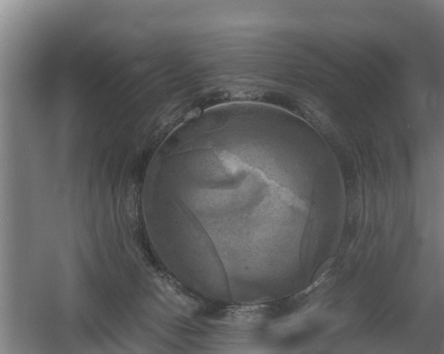 X0000060570078200511071030