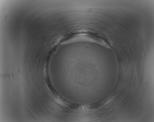 X0000060570080200511071030