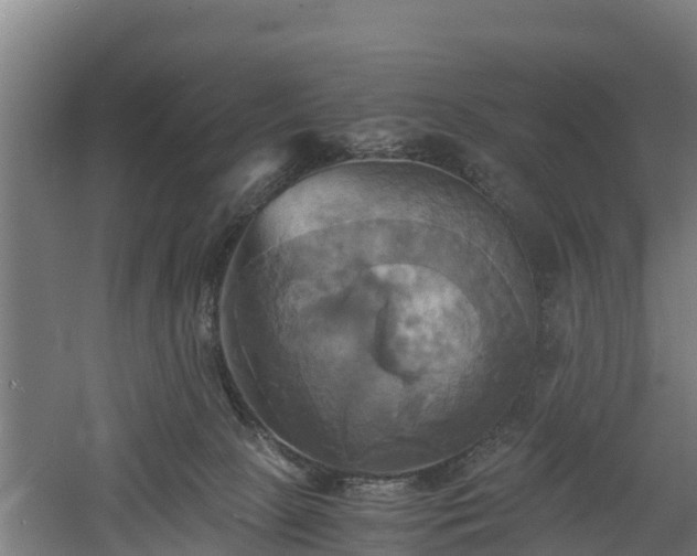 X0000060570081200511071030