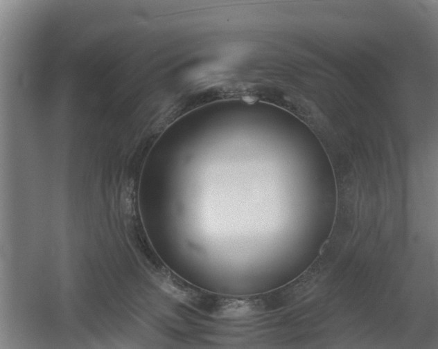 X0000060570083200511071030