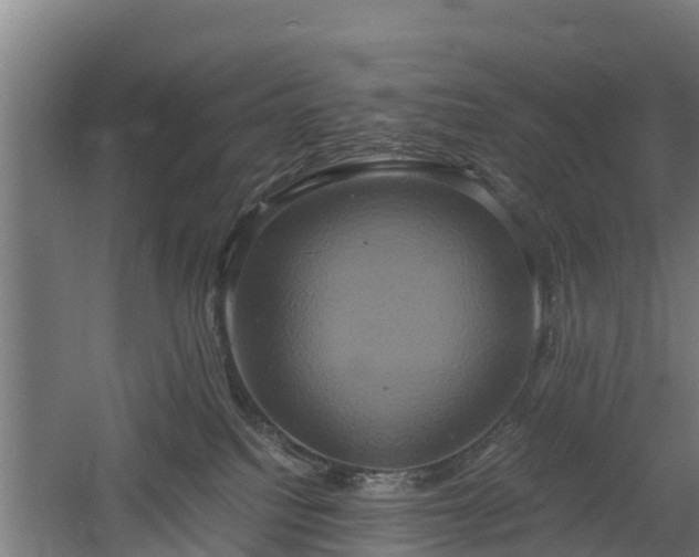 X0000060570088200511071030