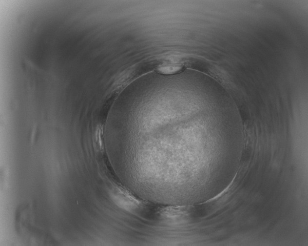 X0000060570094200511071030