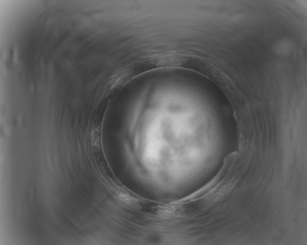 X0000060570096200511071030