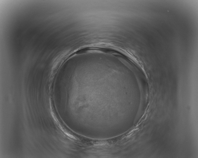 X0000060570097200511071030