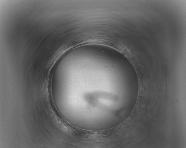 X0000060570098200511071030