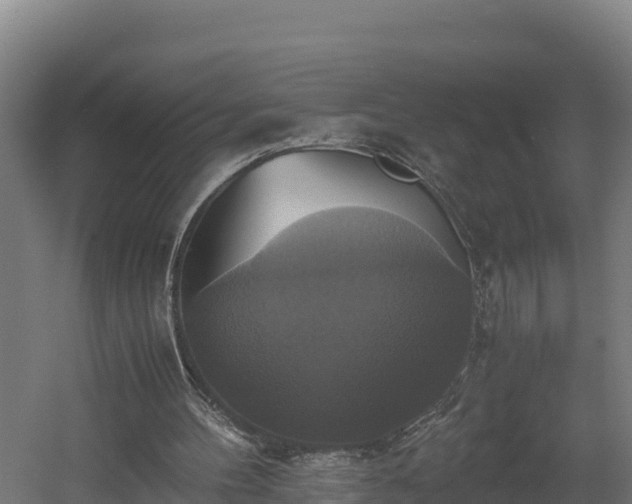 X0000060570100200511071030