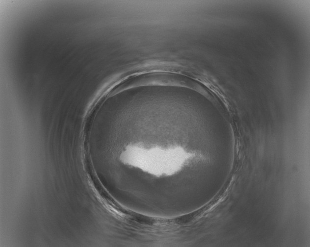 X0000060570101200511071030