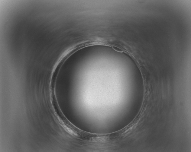 X0000060570102200511071029