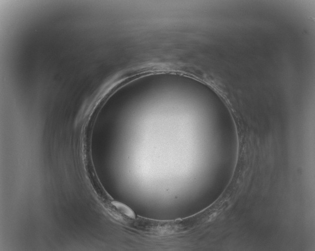 X0000060570103200511071029