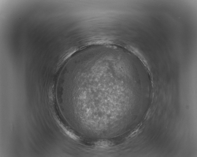 X0000060570105200511071029