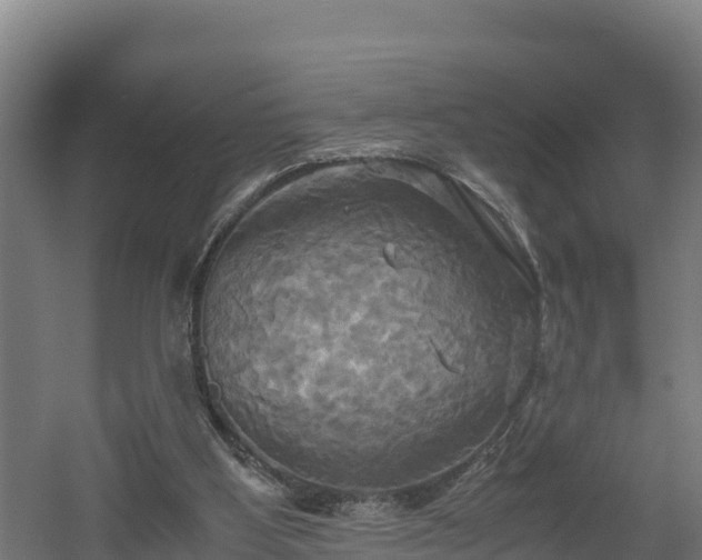 X0000060570107200511071029