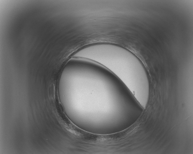 X0000060570109200511071029