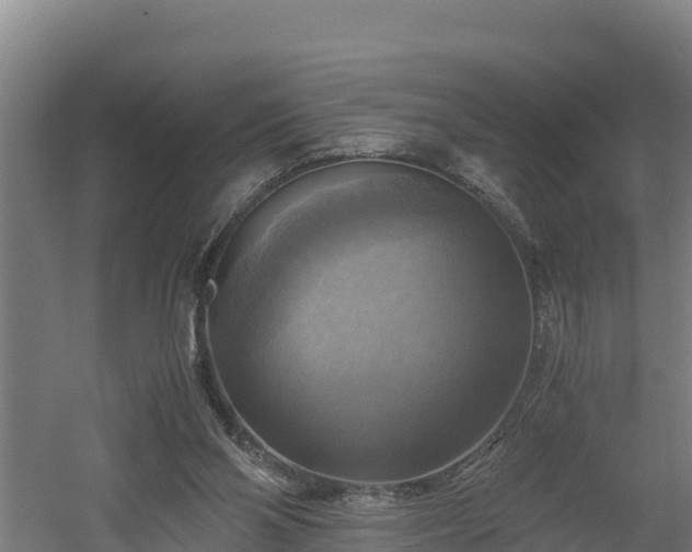 X0000060570110200511071029