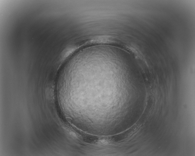 X0000060570111200511071029