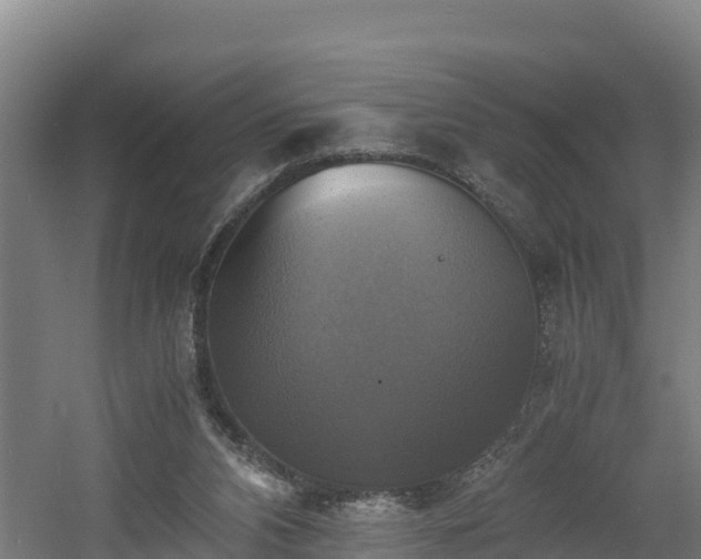 X0000060570112200511071029