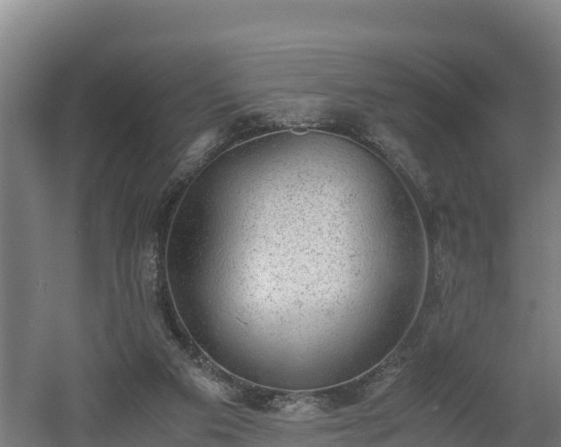 X0000060570113200511071029