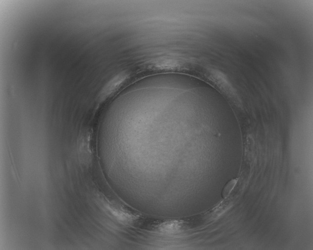 X0000060570116200511071029