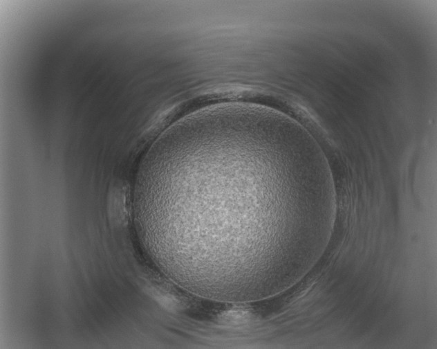 X0000060570119200511071029