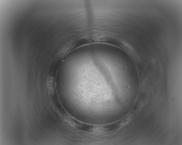 X0000060570121200511071029