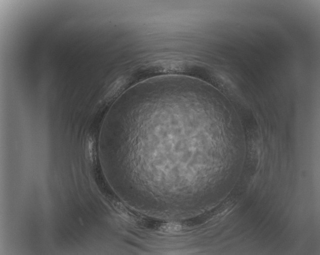 X0000060570123200511071029