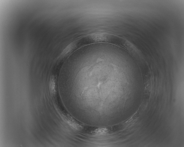 X0000060570124200511071029