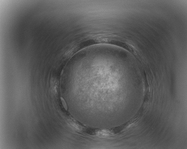 X0000060570125200511071029