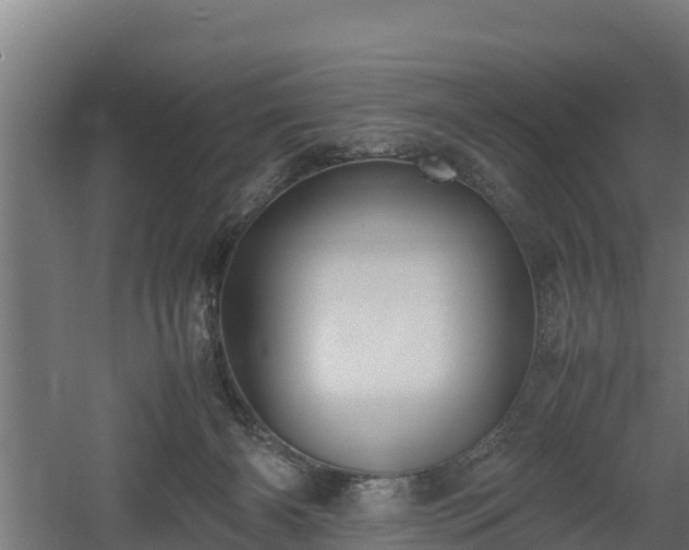 X0000060570126200511071029