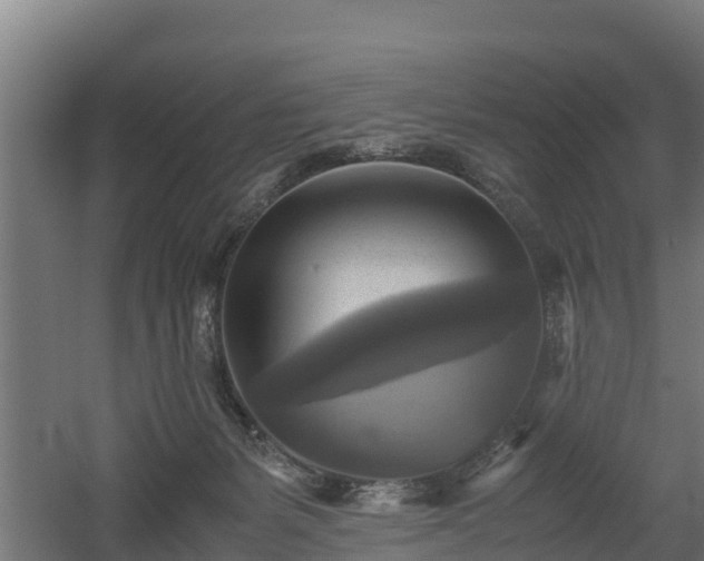 X0000060570127200511071029