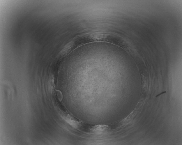 X0000060570128200511071029