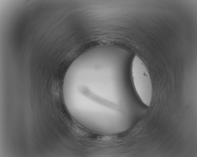 X0000060570129200511071029