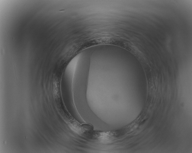 X0000060570130200511071029