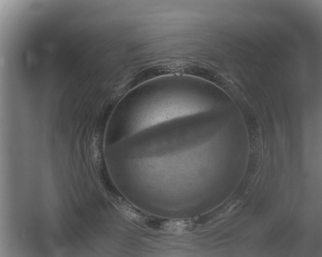 X0000060570131200511071029