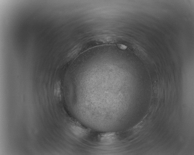 X0000060570132200511071029