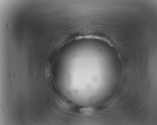 X0000060570133200511071029