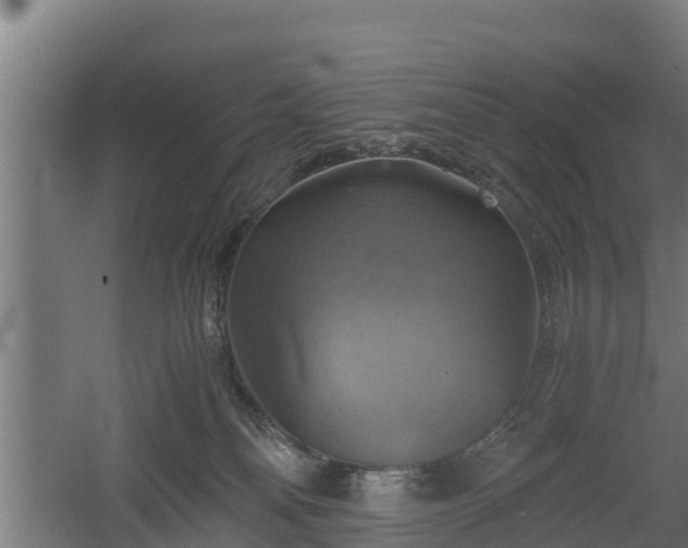 X0000060570134200511071029